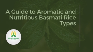 A Guide to Aromatic and Nutritious Basmati Rice Types