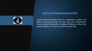 Police Working Dogs For Sale  Customcanineunlimited.com