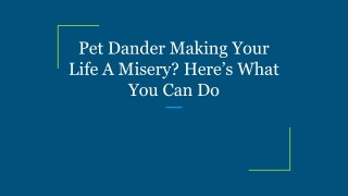 Pet Dander Making Your Life A Misery_ Here’s What You Can Do