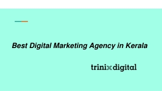 Best Digital Marketing Agency in Kerala