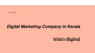 Digital Marketing Company in Kerala