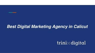 Best Digital Marketing Agency in Calicut