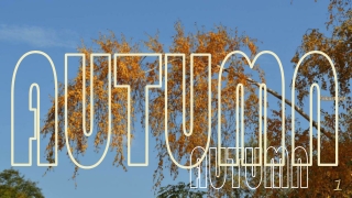 Autumn moods1