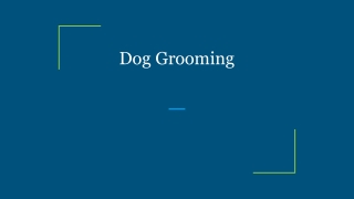 Dog Grooming