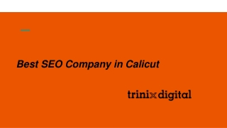 TOP SEO Company in Calicut | SEO Service 2023