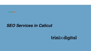 Best SEO Service in Calicut 2023