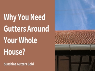 Why You Need Gutters Around Your Whole House?