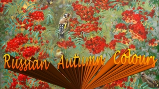 Russian Autumn Colours3