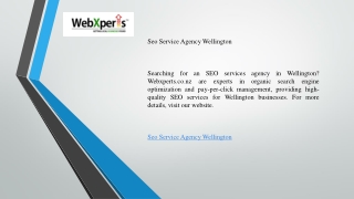 Seo Service Agency Wellington   Webxperts.co.nz