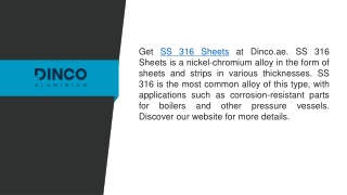 Ss 316 Sheets  Dinco.ae