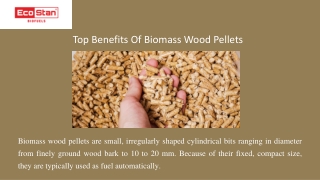 Biomass Wood Pellets is Best Renewable Source Of Energy | ECOSTAN Biofuel