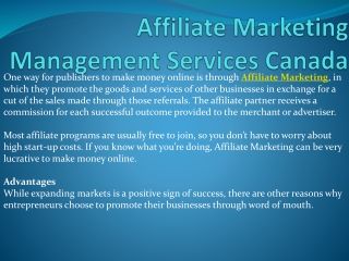 Affiliate Marketing Management Services Canada