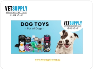 Dog Toys | Puppy Toys | Best Dog Toys Australia | VetSupply | Starting From $15.