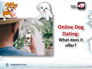 Online Dog Dating: What does it offer?