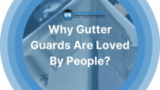 Why Gutter Guards Are Loved By People?