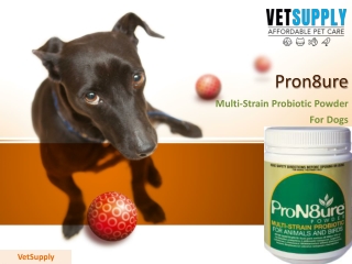 ProN8ure Multi-Strain Probiotic Powder (Green) | VetSupply