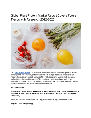 Global Plant Protein Market Report Covers Future Trends with Research 2022-2028