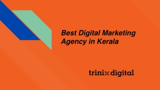 Best Digital Marketing Agency in Kerala