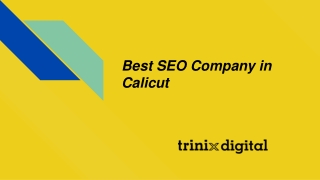 Best SEO Company in Calicut