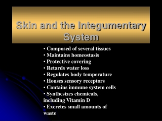skin and intergumen system