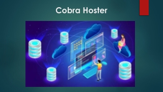 The Best WordPress Hosting Companies for Beginners 2023 - Cobra hoster