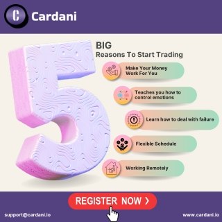 Cardani io- Start Trading Now