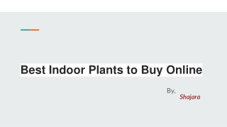 Best Indoor Plants to Buy Online