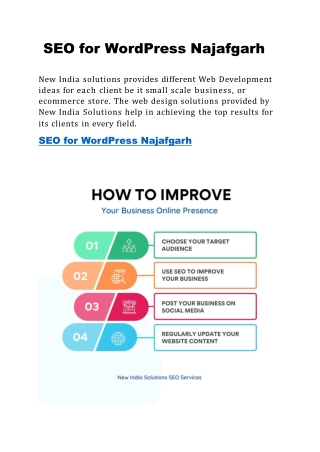 SEO for WordPress Najafgarh