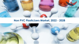 Non-PVC Plasticizers Market Growth Analysis 2022-2028