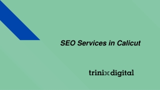 SEO Services in Calicut