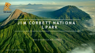 Best Resorts in Jim Corbett