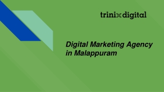 Digital Marketing Agency in Malappuram