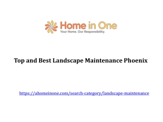 Top and Best Landscape Maintenance Phoenix