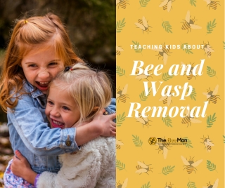 Teaching Kids About Bee and Wasp Removal