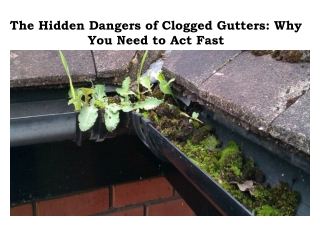 Gutter Vacuum Cleaning Melbourne - Gutter & Downpipe Cleaners