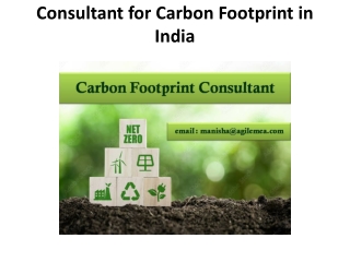 Consultant for Carbon Footprint in India