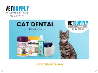 Cat Dental Care | Cat Dental Treats | VetSupply | Starting From $13.55