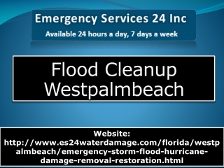 Flood Cleanup Westpalmbeach