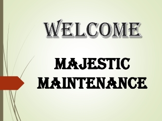 Best Garden Maintenance Service in Park Royal