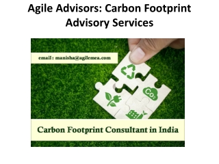 Agile Advisors: Carbon Footprint Advisory Services