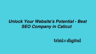Unlock Your Website's Potential - Best SEO Company in Calicut