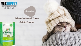 Greenies Feline Dental Treats Catnip Flavour For Cats 60G