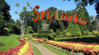 Sri Lanka Peradeniya5 Royal Botanic Gardens