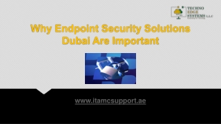 Why Endpoint Security Solutions Dubai Are Important