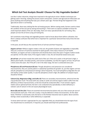 Soil Test Analysis Should I Choose For My Vegetable Garden