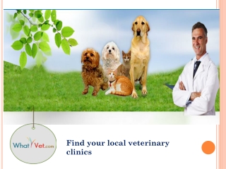 Using Online Service to Find the Local Veterinary Clinics