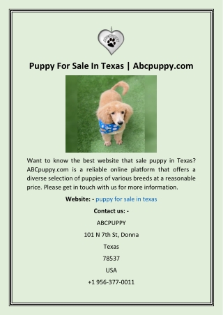 Puppy For Sale In Texas  Abcpuppy