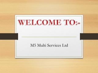 M5 Multi Services Ltd