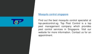 Mosquito Control in Singapore