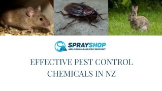 Effective Pest Control Chemicals in NZ